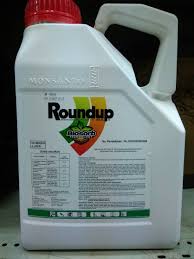 Produk Terlaris